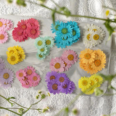 12pcs Natural Chrysanthemum Dry Flower Embossing DIY Materials