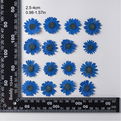 12pcs Natural Chrysanthemum Dry Flower Embossing DIY Materials