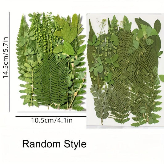 35 Pcs Dried Pressed Leaves & Flowers Set - Resin Art DIY Crafts Bookmarks