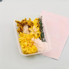 Dried Flowers For Resin Crafts Home Decor DIY Candle Making