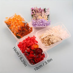Dried Flowers For Resin Crafts Home Decor DIY Candle Making