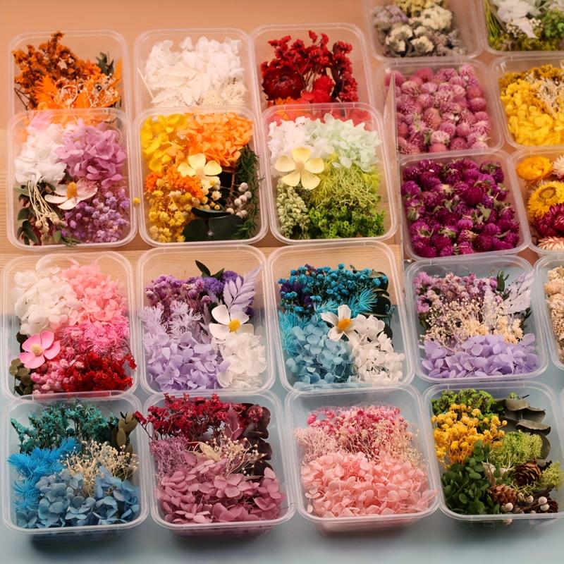 Dried Flowers For Resin Crafts Home Decor DIY Candle Making