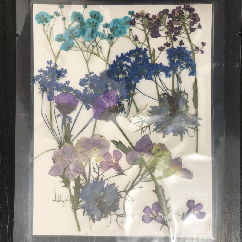 23pcs Dried Flower Kit for Resin Jewelry, Candles, Soaps, Nail Decor
