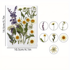 23pcs Dried Flower Kit for Resin Jewelry, Candles, Soaps, Nail Decor