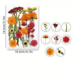 23pcs Dried Flower Kit for Resin Jewelry, Candles, Soaps, Nail Decor