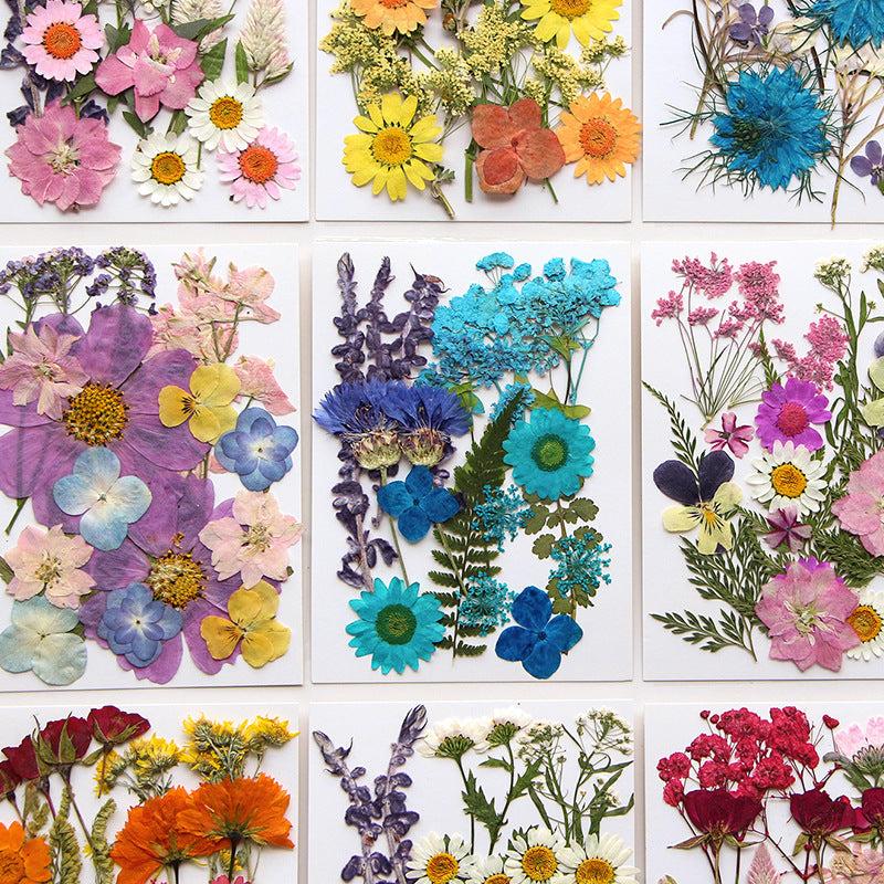 23pcs Dried Flower Kit for Resin Jewelry, Candles, Soaps, Nail Decor