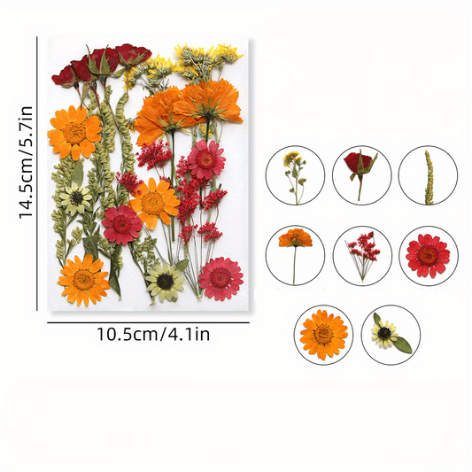 23pcs Dried Flower Kit for Resin Jewelry, Candles, Soaps, Nail Decor