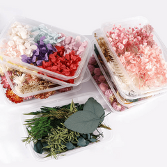 Mini Dried Flower Bouquets for DIY Crafts, Weddings, Decor
