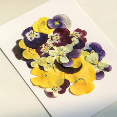 9pcs 18pcs Dried Pressed Flowers For Resin Real Nature Flowers Herb Set