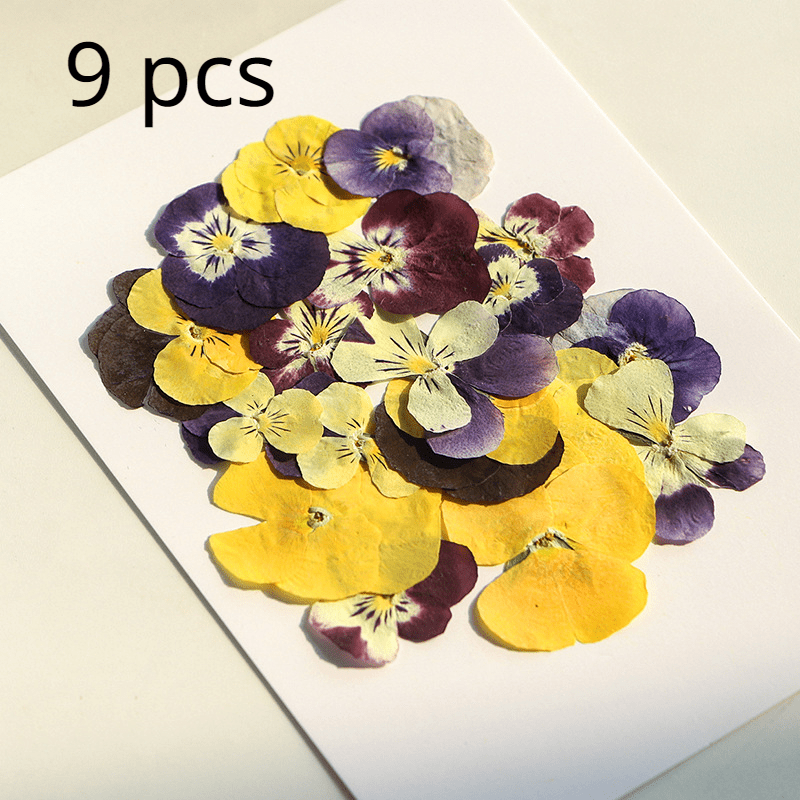 9pcs 18pcs Dried Pressed Flowers For Resin Real Nature Flowers Herb Set