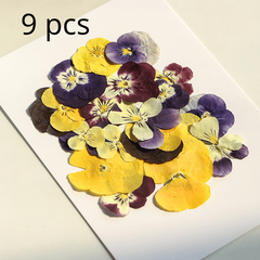 9pcs 18pcs Dried Pressed Flowers For Resin Real Nature Flowers Herb Set