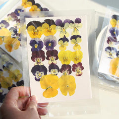 9pcs 18pcs Dried Pressed Flowers For Resin Real Nature Flowers Herb Set