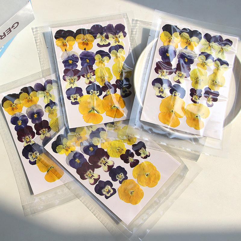 9pcs 18pcs Dried Pressed Flowers For Resin Real Nature Flowers Herb Set