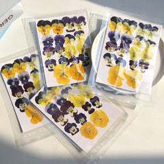9pcs 18pcs Dried Pressed Flowers For Resin Real Nature Flowers Herb Set