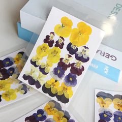 9pcs 18pcs Dried Pressed Flowers For Resin Real Nature Flowers Herb Set