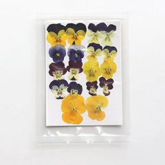 9pcs 18pcs Dried Pressed Flowers For Resin Real Nature Flowers Herb Set