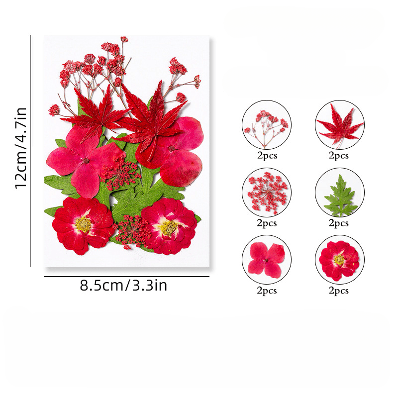 12pcs Dried Pressed Flowers Real Leaves Resin Jewelry Candles