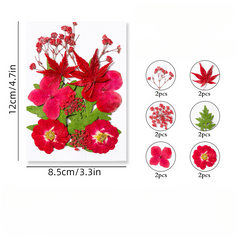 12pcs Dried Pressed Flowers Real Leaves Resin Jewelry Candles