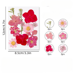 12pcs Dried Pressed Flowers Real Leaves Resin Jewelry Candles