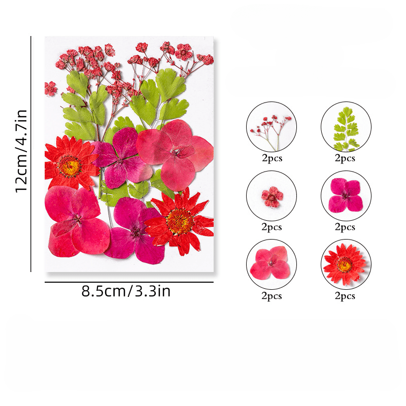 12pcs Dried Pressed Flowers Real Leaves Resin Jewelry Candles
