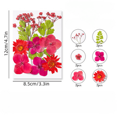 12pcs Dried Pressed Flowers Real Leaves Resin Jewelry Candles