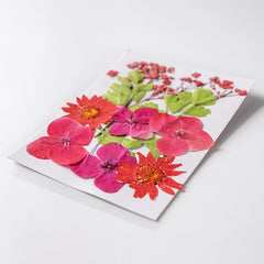 12pcs Dried Pressed Flowers Real Leaves Resin Jewelry Candles