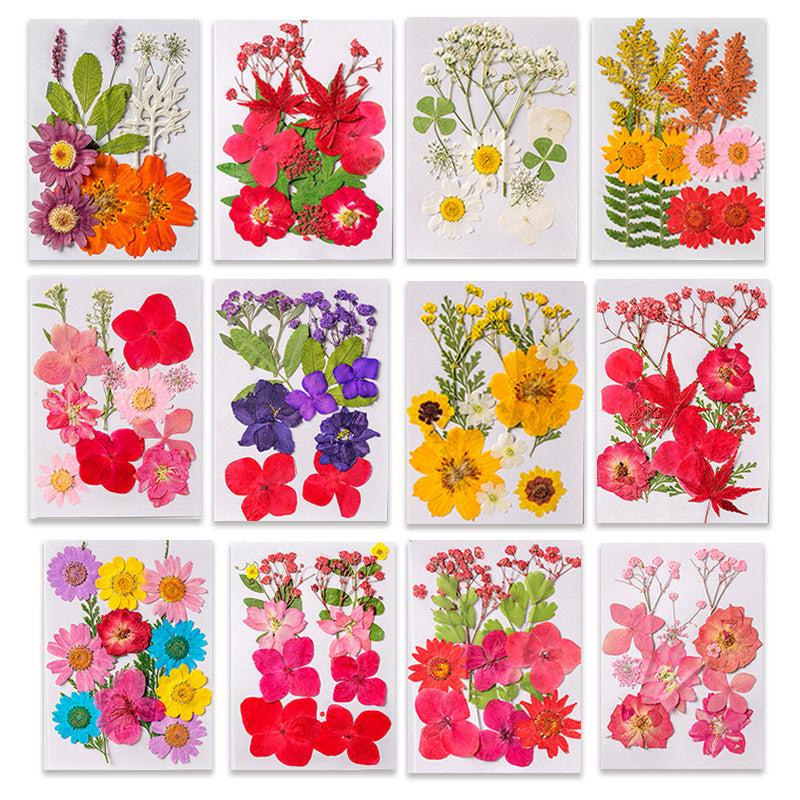 12pcs Dried Pressed Flowers Real Leaves Resin Jewelry Candles