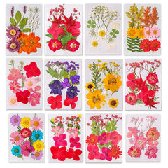 12pcs Dried Pressed Flowers Real Leaves Resin Jewelry Candles