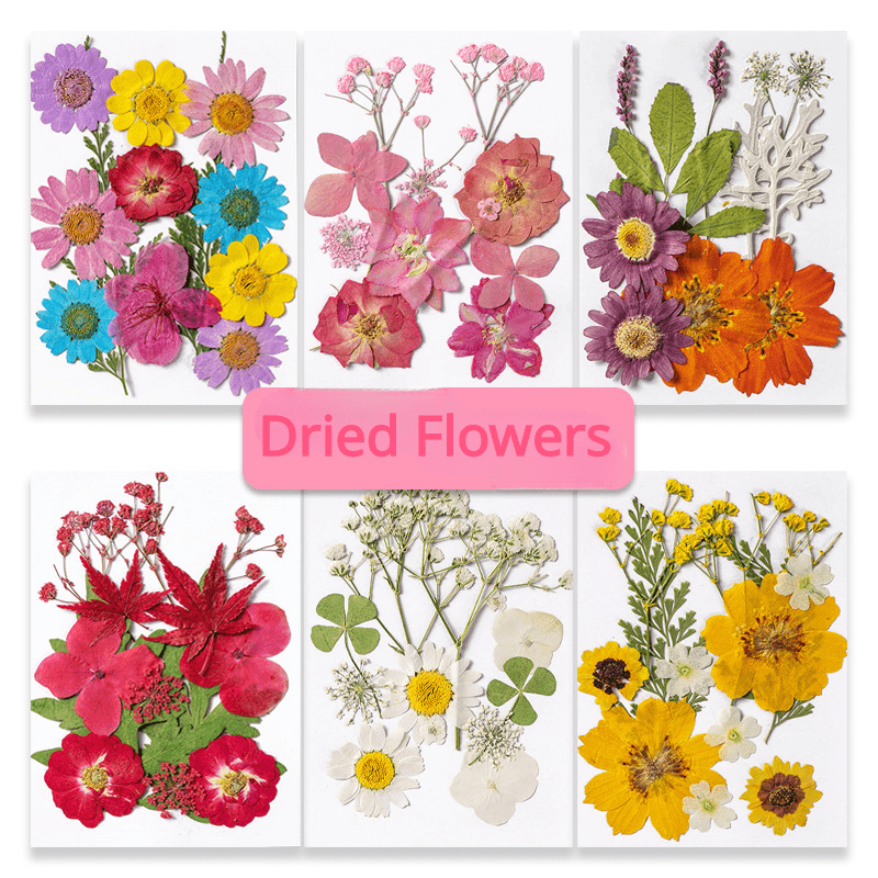 12pcs Dried Pressed Flowers Real Leaves Resin Jewelry Candles