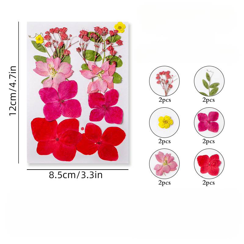 12pcs Dried Pressed Flowers Real Leaves Resin Jewelry Candles