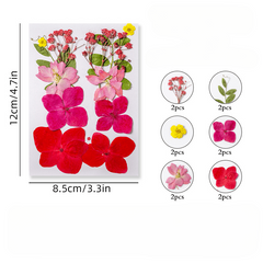12pcs Dried Pressed Flowers Real Leaves Resin Jewelry Candles