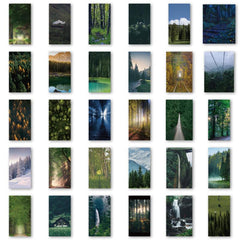 62pcs Green Forest Waterproof Stickers