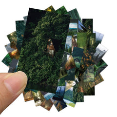 62pcs Green Forest Waterproof Stickers