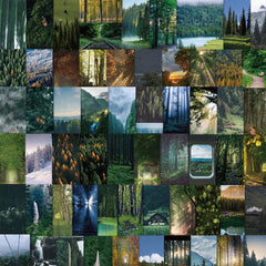 62pcs Green Forest Waterproof Stickers