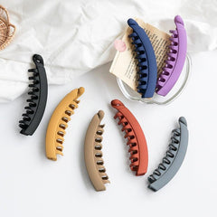 Frosted Claw Hair Clip