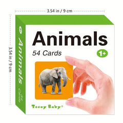 54 Card Pocket Flash Cards for Kids' Educational Learning Fun