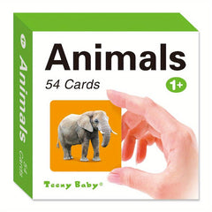 54 Card Pocket Flash Cards for Kids' Educational Learning Fun