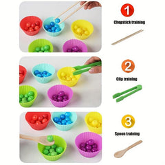 Matching Fine Motor Skill Montessori Toy