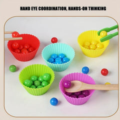 Matching Fine Motor Skill Montessori Toy