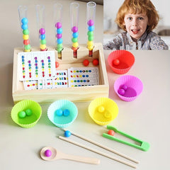 Matching Fine Motor Skill Montessori Toy