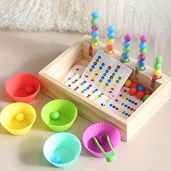Matching Fine Motor Skill Montessori Toy