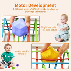 Montessori Shape Sorter Sensory Bin Toy for Baby 1 Year Old