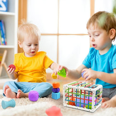 Montessori Shape Sorter Sensory Bin Toy for Baby 1 Year Old