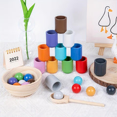 Montessori Sorting Game Early Educational Toys