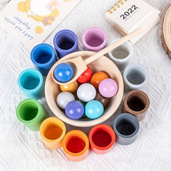 Montessori Sorting Game Early Educational Toys