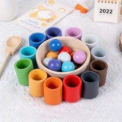 Montessori Sorting Game Early Educational Toys