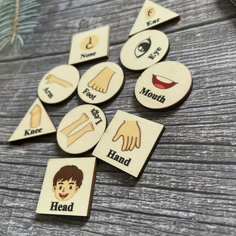 Wooden Puzzle Human Body Parts Structure Cognition