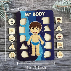Wooden Puzzle Human Body Parts Structure Cognition