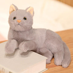 Cartoon Cat Plush Doll for Kids