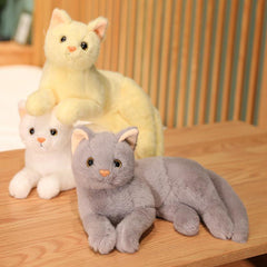 Cartoon Cat Plush Doll for Kids